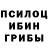 Псилоцибиновые грибы мицелий MD studio