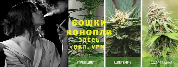 спиды Коряжма