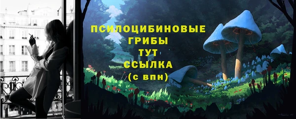 МДПВ Корсаков