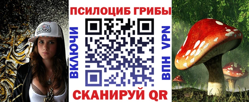 Купить где  Владивосток  Псилоцибиновые грибы GOLDEN TEACHER