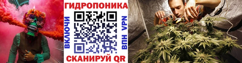 Купить где  Владивосток  МАРИХУАНА OG Kush